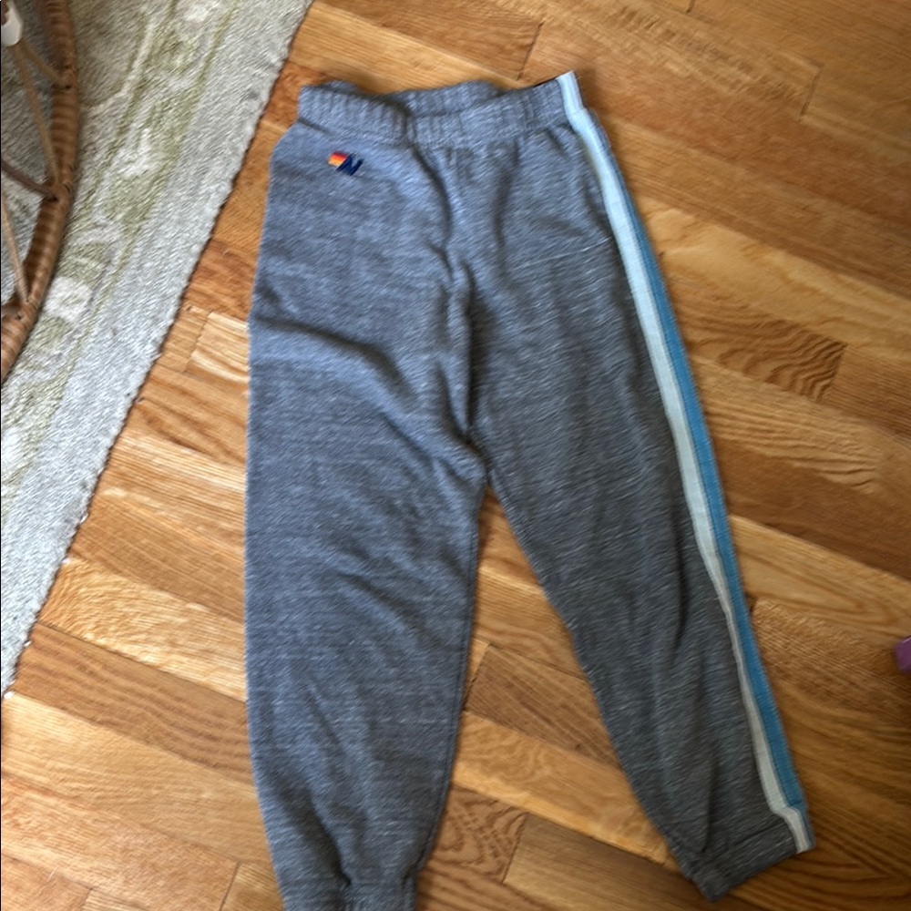 Aviator Nation Gray Sweatpants with Blue Stripe